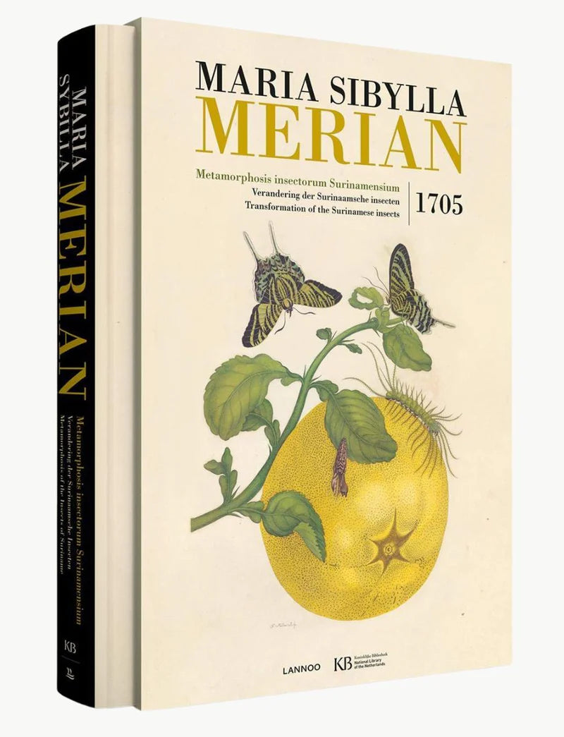 Maria Sibylla Merian